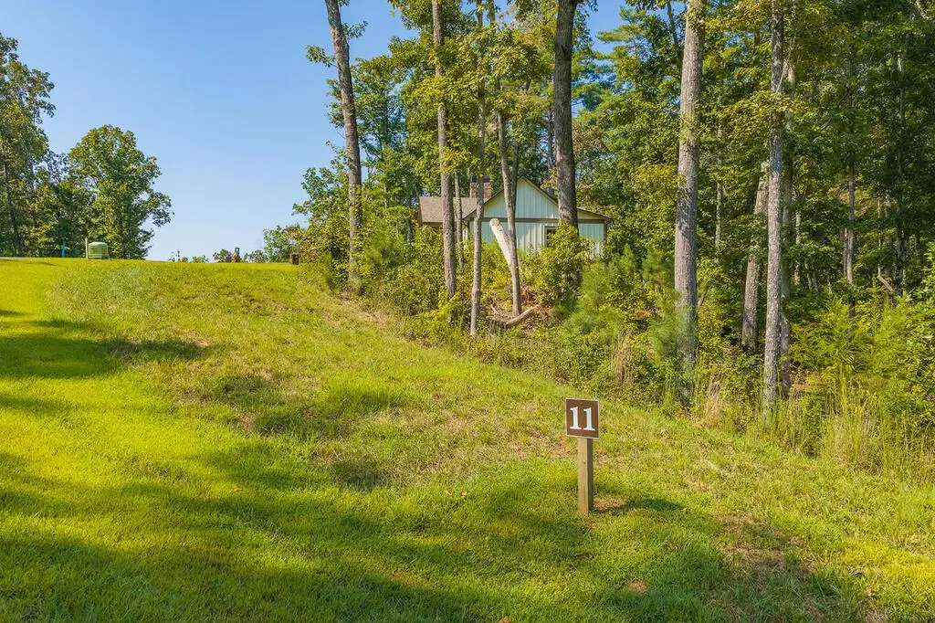 Lot 11 Lake Top Lane, Ellijay, GA 30540 - #1