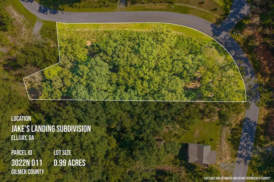 Lot 11 Lake Top Lane, Ellijay, GA 30540 - #2