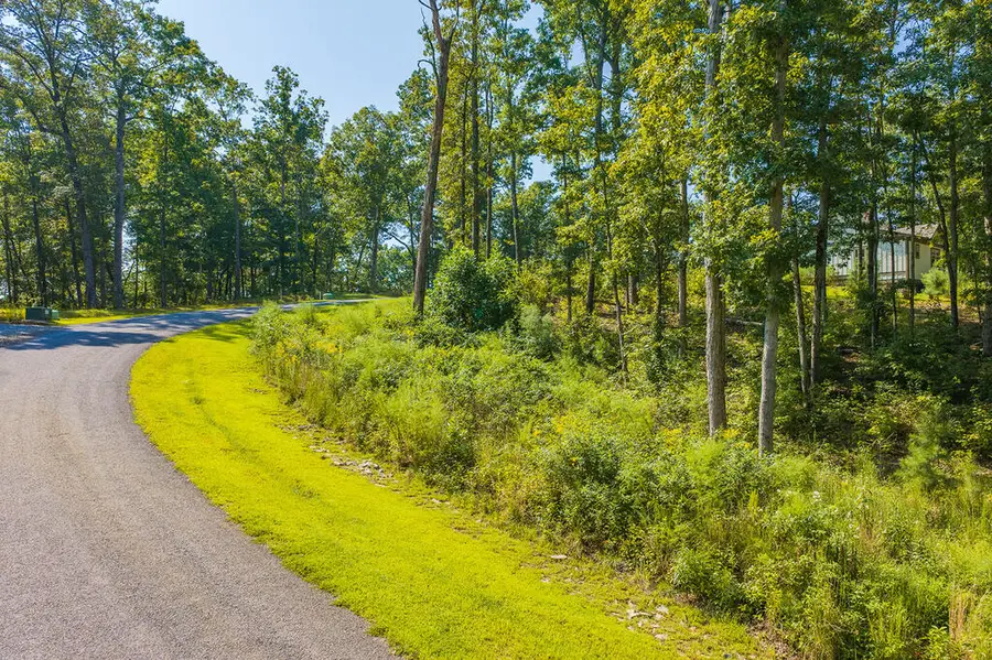 Lot 11 Lake Top Lane, Ellijay, GA 30540 - #3
