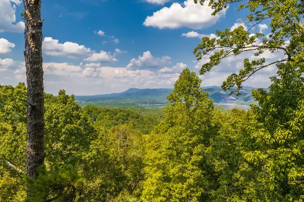 104 Hopewell Drive Ne, Ranger, GA 30734