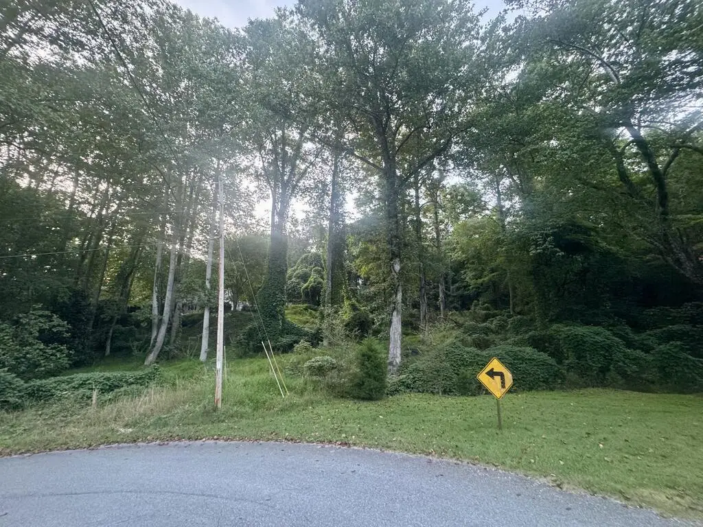 LT 53 Circle Drive, Morganton, GA 30560 - #1