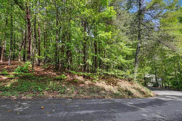 Lot 73 Pinecrest, Young Harris, GA 30582