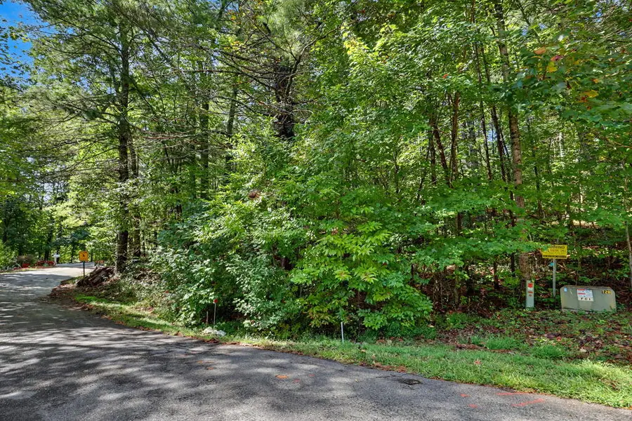 Lot 73 Pinecrest, Young Harris, GA 30582 - #2