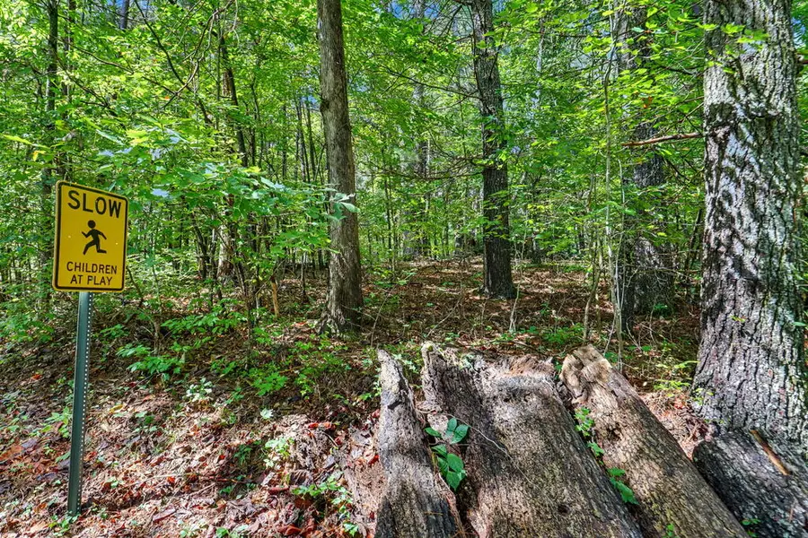 Lot 73 Pinecrest, Young Harris, GA 30582 - #3