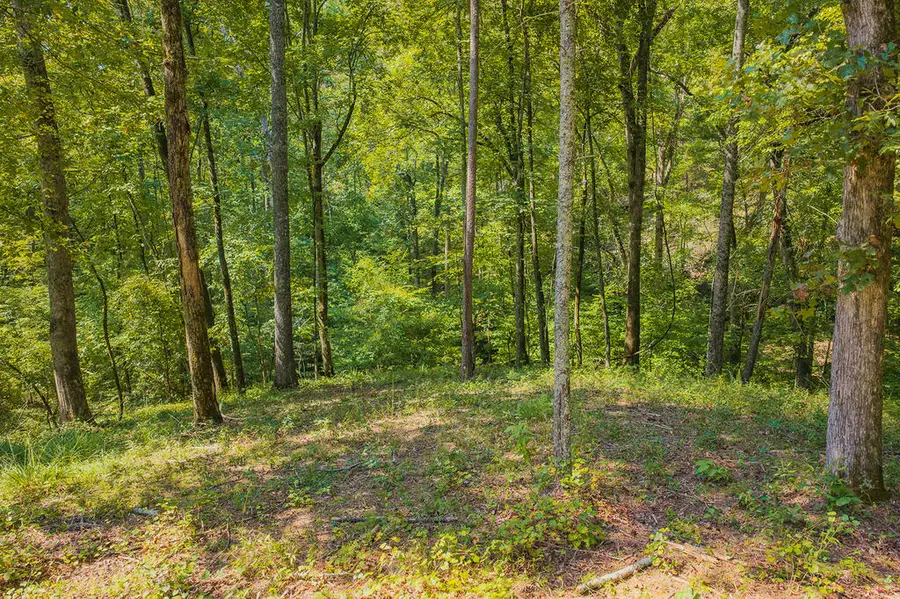 Lot 344 Lower Knoll Court, Talking Rock, GA 30175 - #3