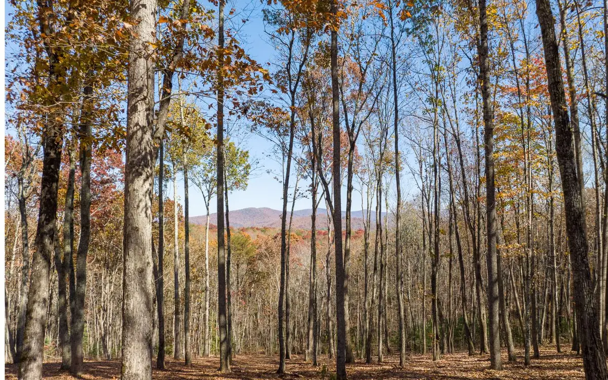 19R Settlement Trail, Ellijay, GA 30536 - #1