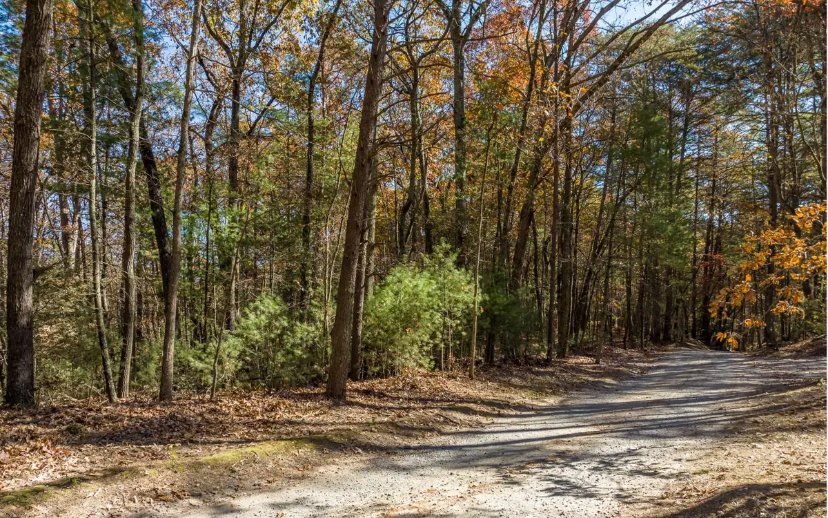 2 TR Old Anderson Creek, Ellijay, GA 30536 - #1