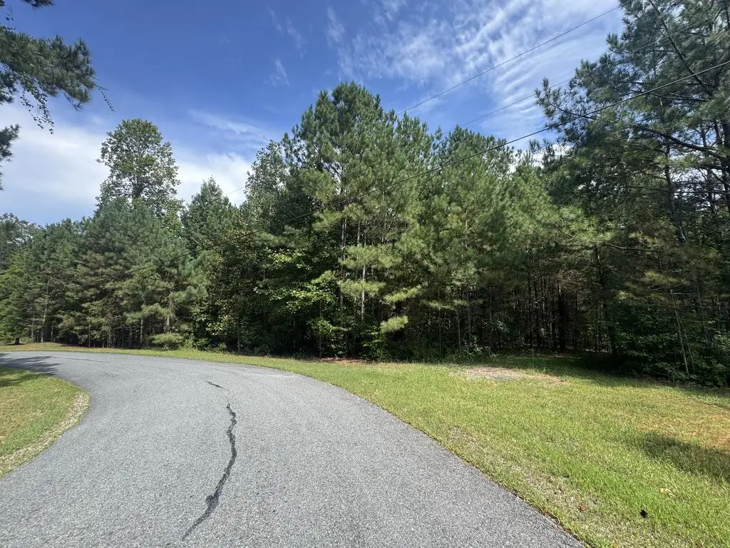 53 Lakeland Drive, Ellijay, GA 30540 - #1