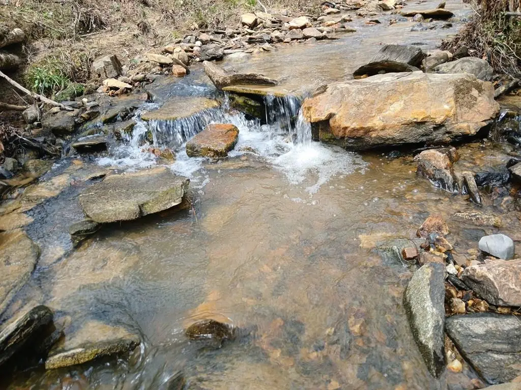 Lot 337 Timber Creek Trail, Talking Rock, GA 30175 - #1