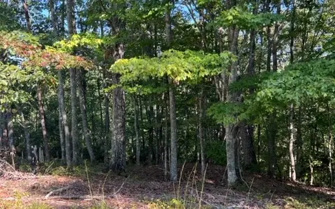 LT 60 Honeysuckle Way, Ellijay, GA 30540 - #3