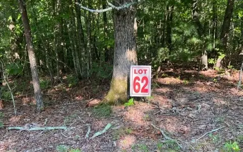 LT61&62 Honeysuckle Way, Ellijay, GA 30540 - #2