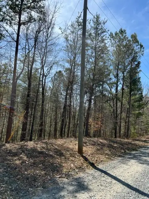LT 3 Hunter Ridge, Ellijay, GA 30540 - #1