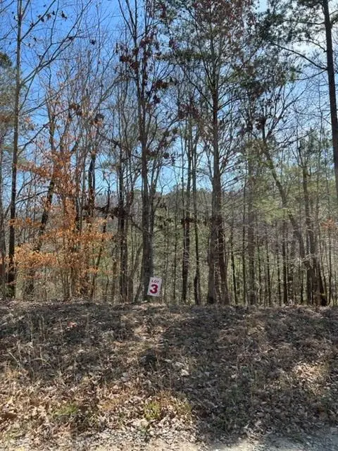LT 3 Hunter Ridge, Ellijay, GA 30540 - #2