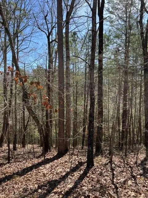 LT 3 Hunter Ridge, Ellijay, GA 30540 - #3