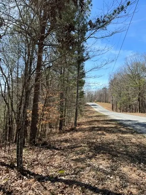 LT 4 Hunter Ridge, Ellijay, GA 30540 - #3