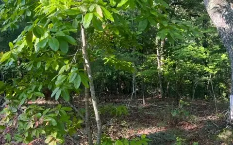 LT 32 Buck Creek Road, Ellijay, GA 30540 - #3