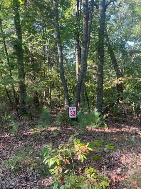 LT 33 Buck Creek Road, Ellijay, GA 30540 - #1