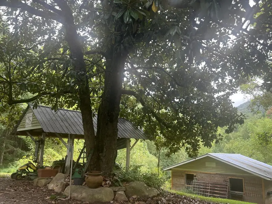 14694 N Appalachian Hwy 515, Ellijay, GA 30536 - #2