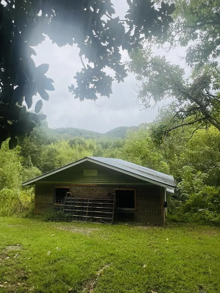 14694 N Appalachian Hwy 515, Ellijay, GA 30536 - #3