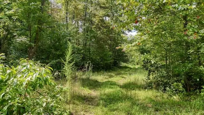 0 Cowart Road, Hayesville, NC 28904 - #1