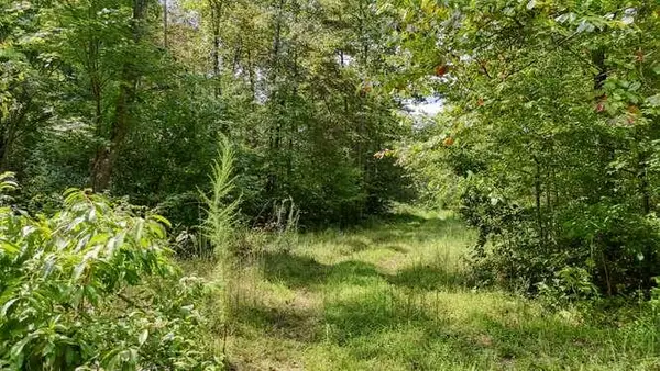 0 Cowart Road, Hayesville, NC 28904
