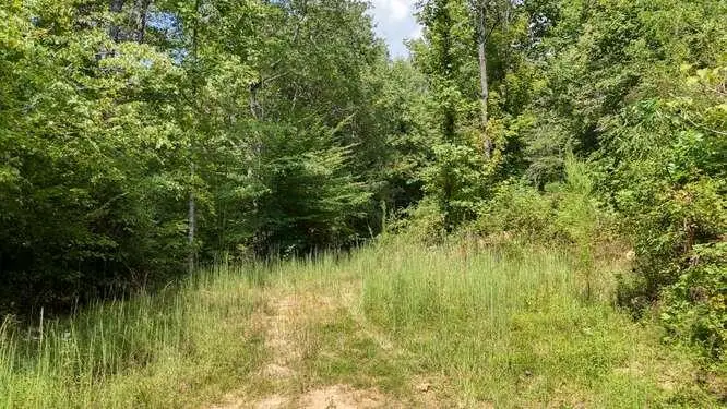 0 Cowart Road, Hayesville, NC 28904 - #2