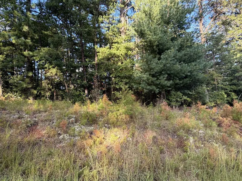Lot 17 Belaire Drive, Copperhill, TN 37317 - #1