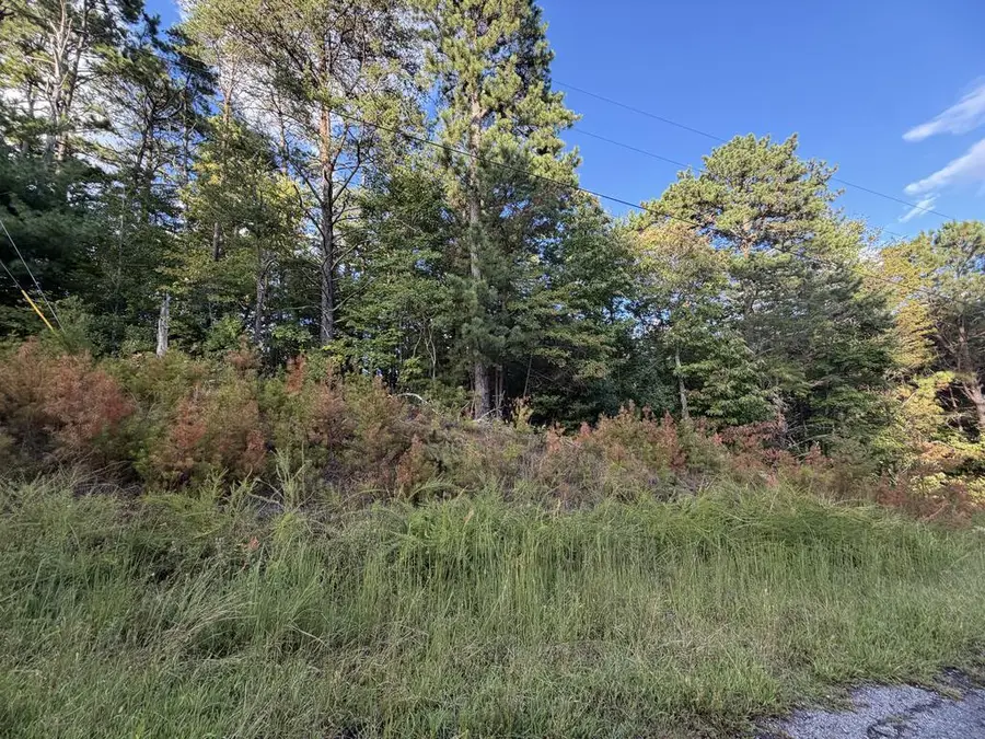 Lot 17 Belaire Drive, Copperhill, TN 37317 - #2
