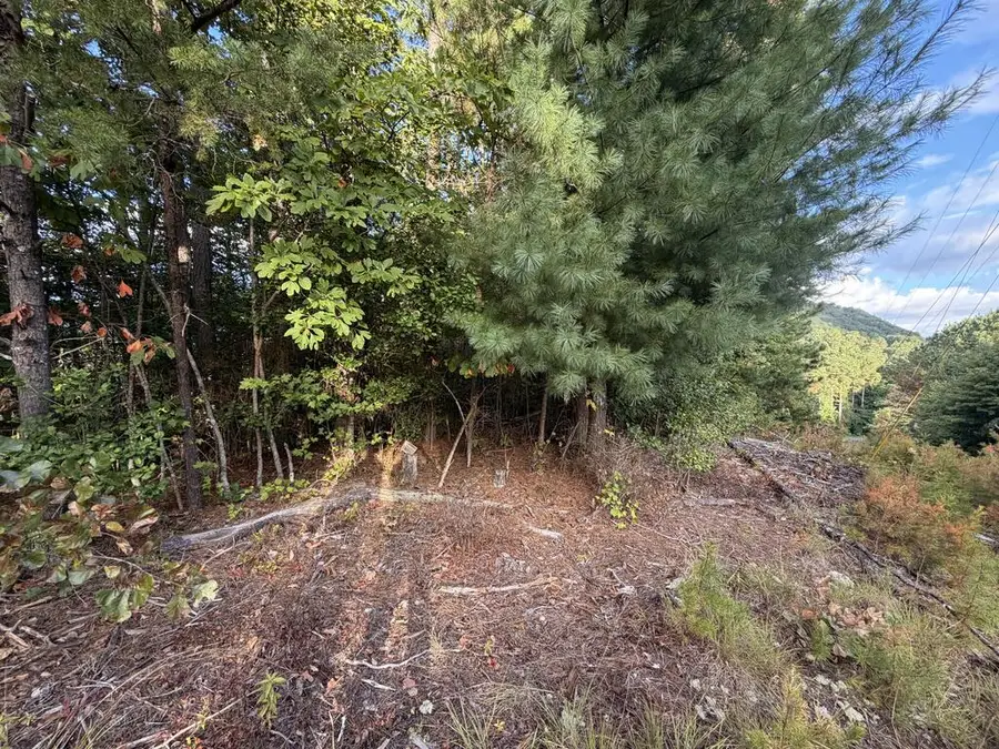Lot 17 Belaire Drive, Copperhill, TN 37317 - #3