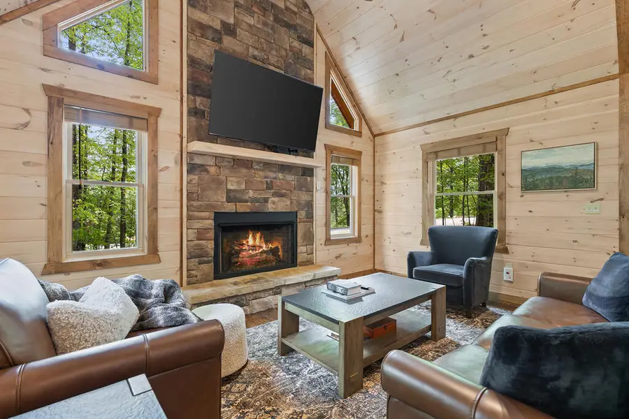 92 Windy Valley Lane, Blue Ridge, GA 30513 - #3