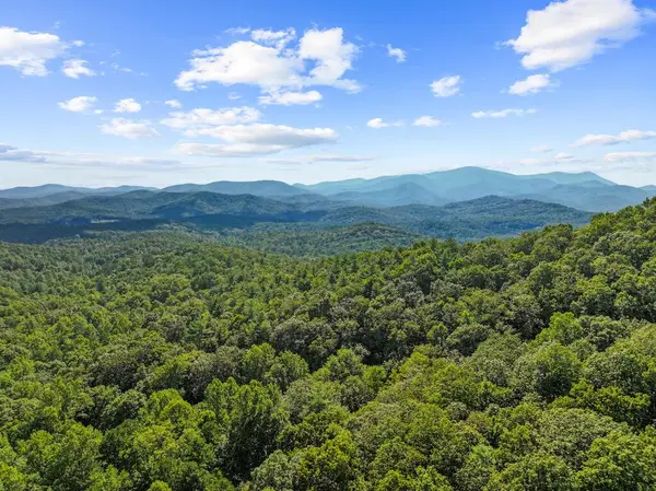 5.5 Acre Forest Service Rd 35, Blue Ridge, GA 30513