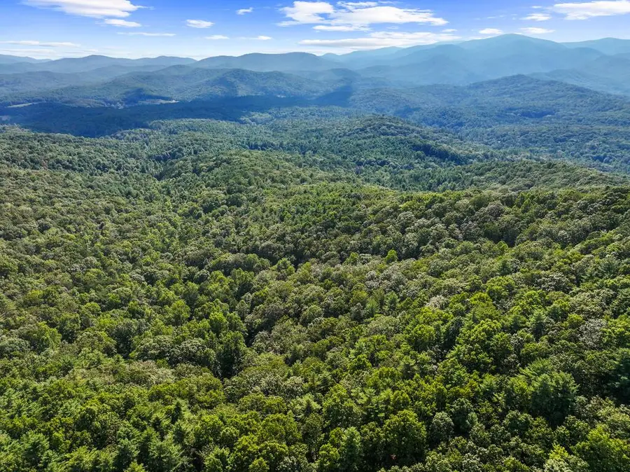 5.5 Acre Forest Service Rd 35, Blue Ridge, GA 30513 - #2