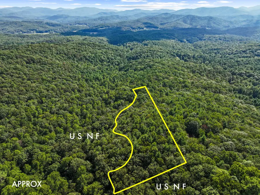 5.5 Acre Forest Service Rd 35, Blue Ridge, GA 30513 - #3