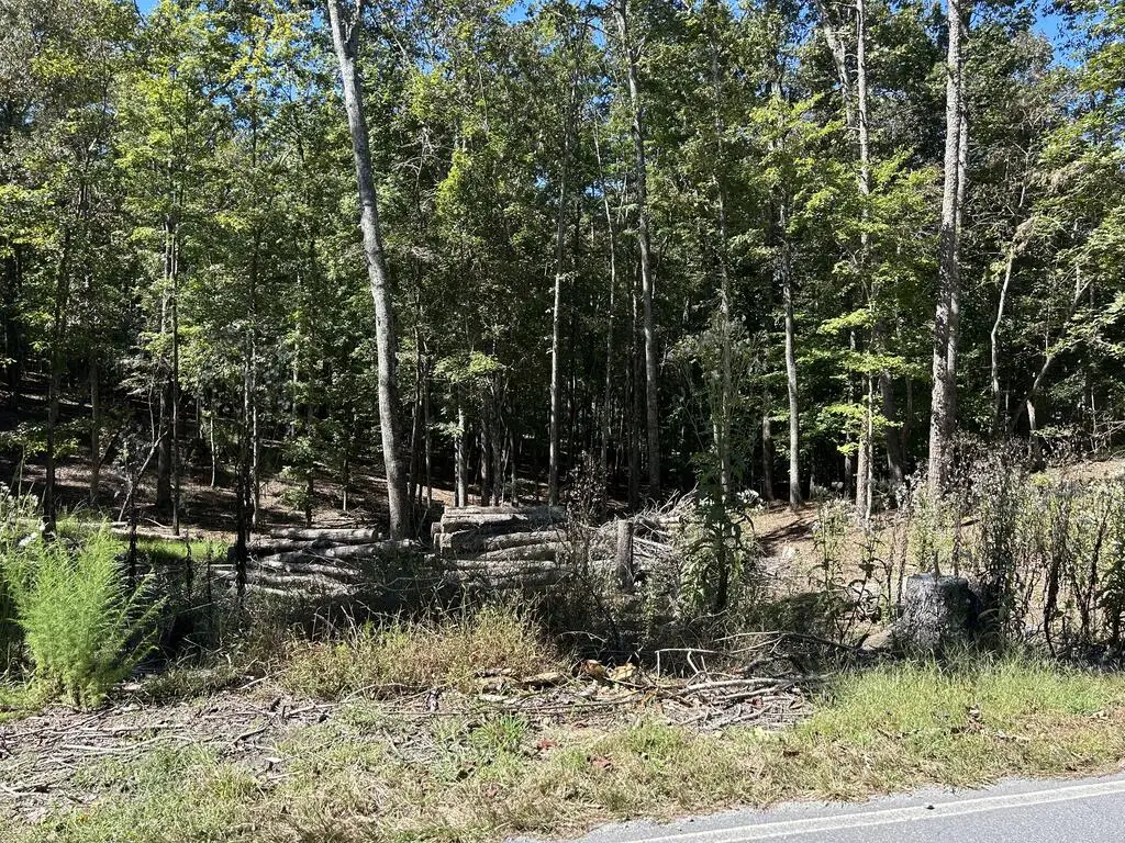 Lot 533 Eagle Mountain Drive, Ellijay, GA 30540 - #1
