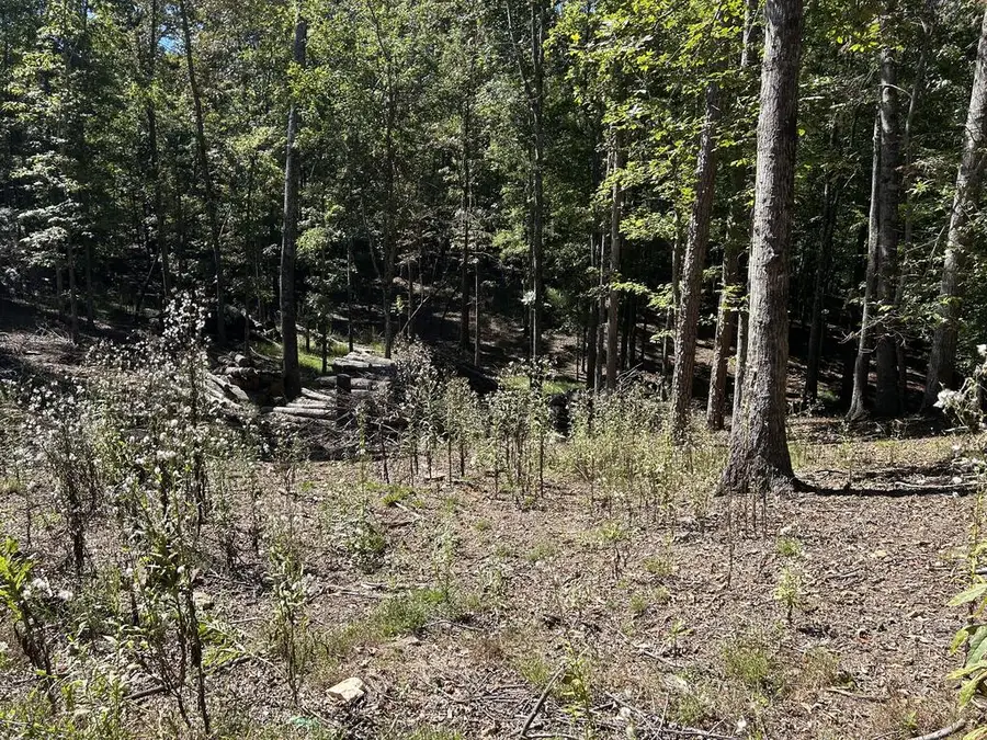 Lot 533 Eagle Mountain Drive, Ellijay, GA 30540 - #2