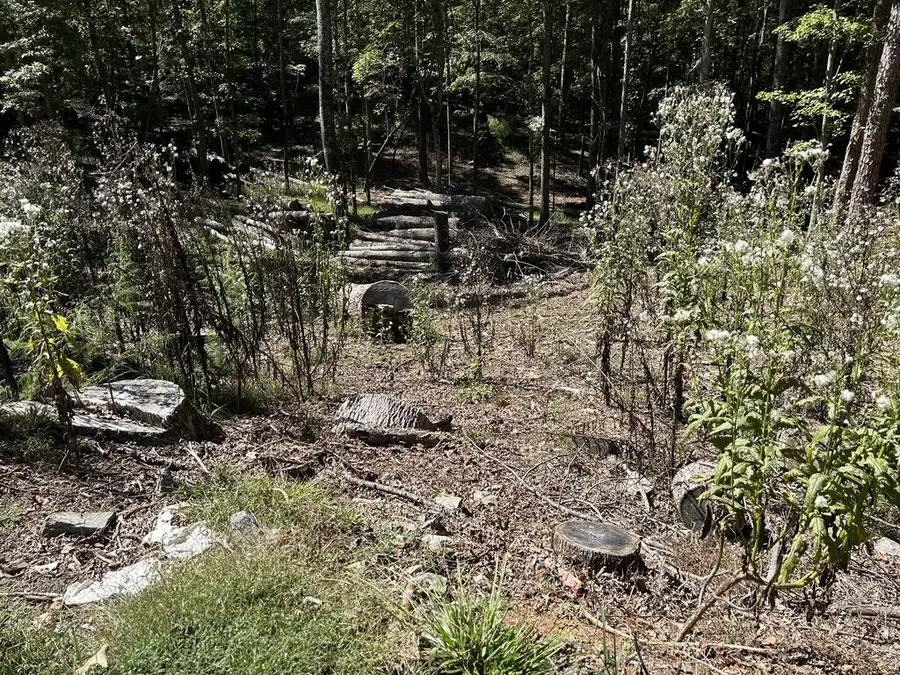 Lot 533 Eagle Mountain Drive, Ellijay, GA 30540 - #3