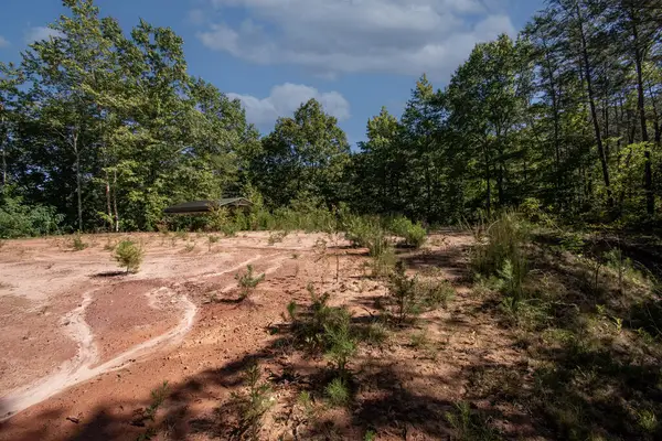00 Upper Sawyer Creek, Robbinsville, NC 28771