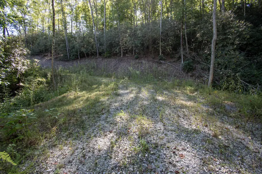 00 Upper Sawyer Creek, Robbinsville, NC 28771 - #2
