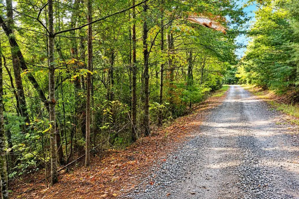 Lot 12 Hillbilly Holler, Blue Ridge, GA 30513 - #1