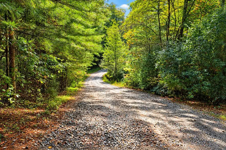Lot 12 Hillbilly Holler, Blue Ridge, GA 30513 - #2
