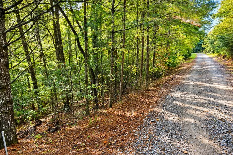 Lot 12 Hillbilly Holler, Blue Ridge, GA 30513 - #3