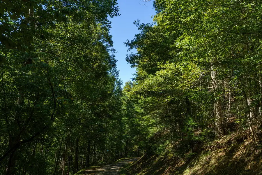 Lot 46 Lake Appalachia Ac Drive, Murphy, NC 28906 - #3