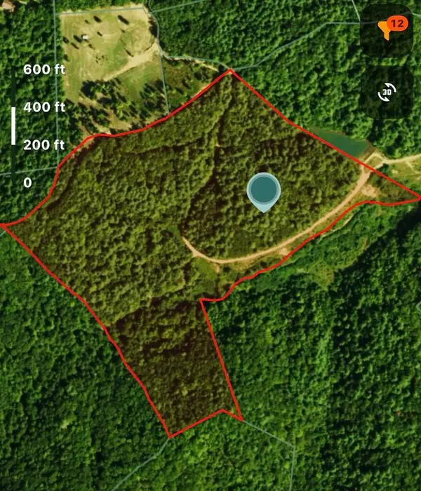 40 Acre Valley Lake Road, Mineral Bluff, GA 30559
