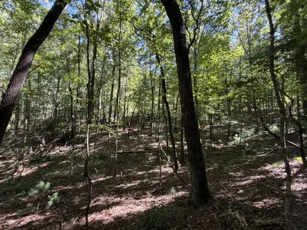 305-433 Seneca Drive, Ellijay, GA 30540