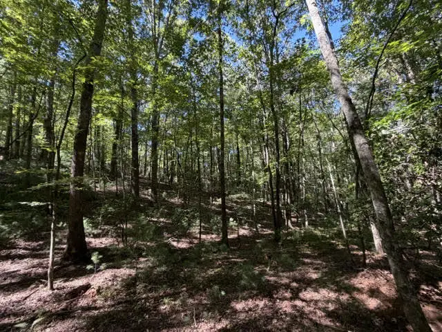 305-433 Seneca Drive, Ellijay, GA 30540 - #3