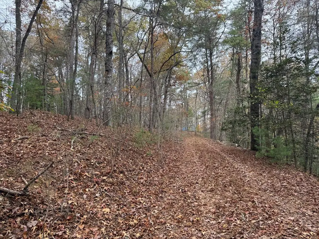 9 Paradise Park Road, Brasstown, NC 28902 - #1