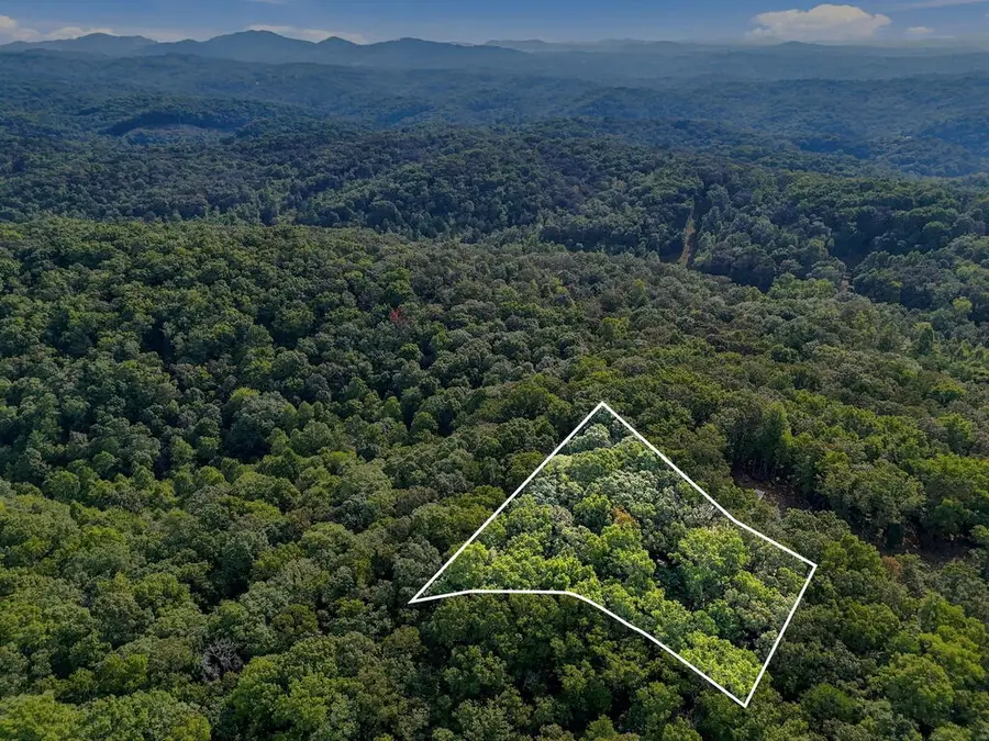0 Timberlake Road, Blue Ridge, GA 30513 - #3
