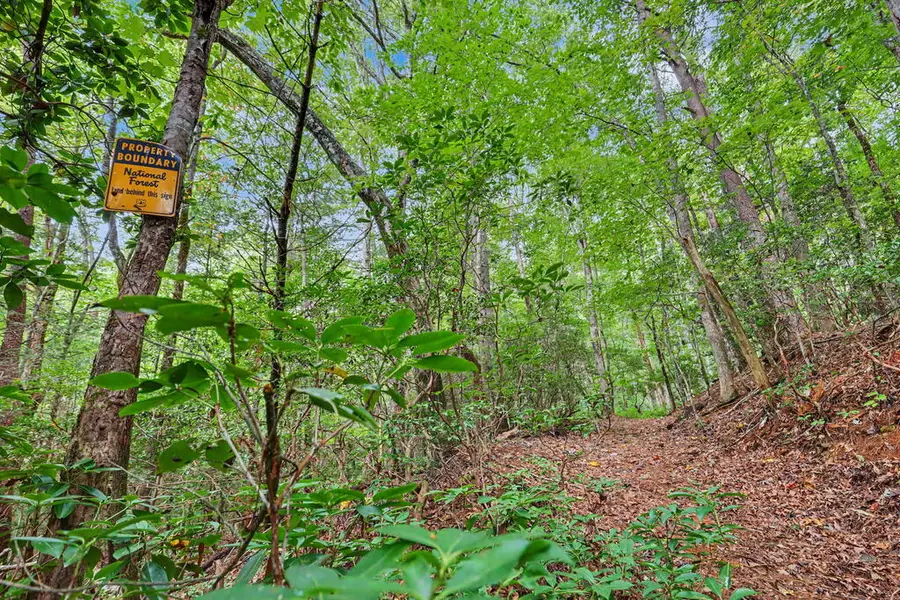 12.8 ac Fisher Field Road, Blairsville, GA 30512 - #2
