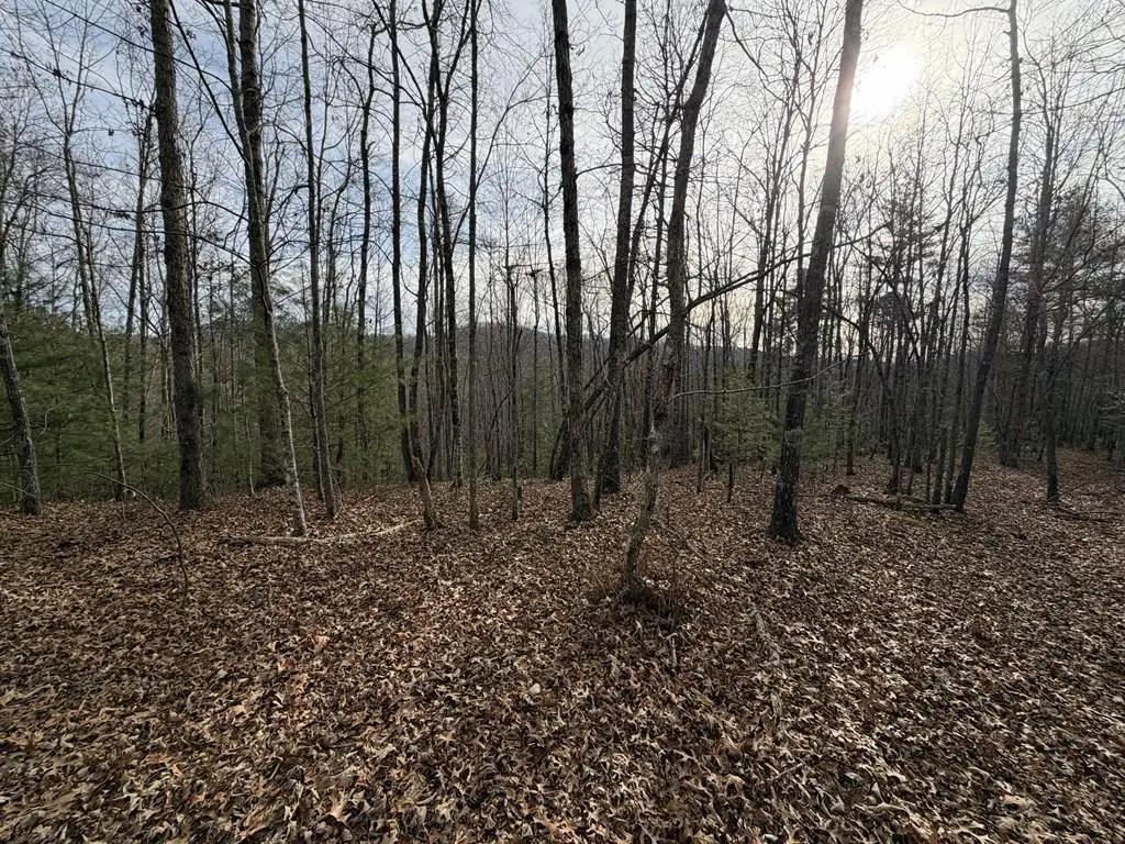 56.6 Ac Cutcane Road, Mineral Bluff, GA 30559 - #1