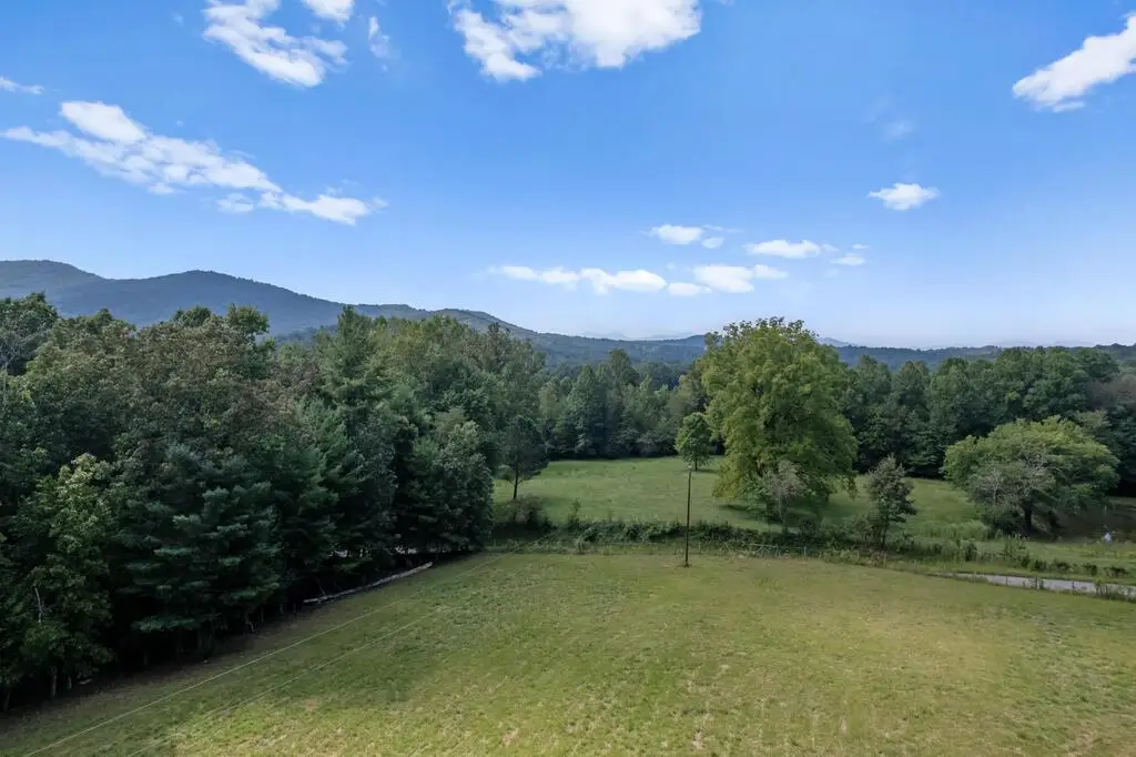 00 Ivylog Gap Rd, Blairsville, GA 30512 - #1